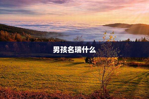 男孩名瑞什么