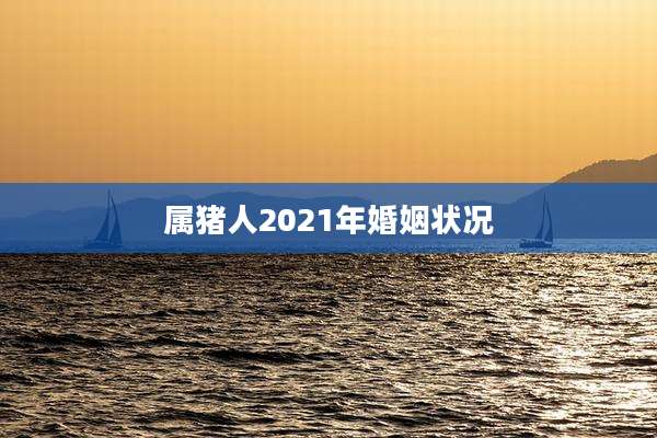 属猪人2021年婚姻状况
