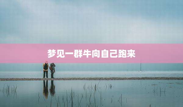 梦见一群牛向自己跑来