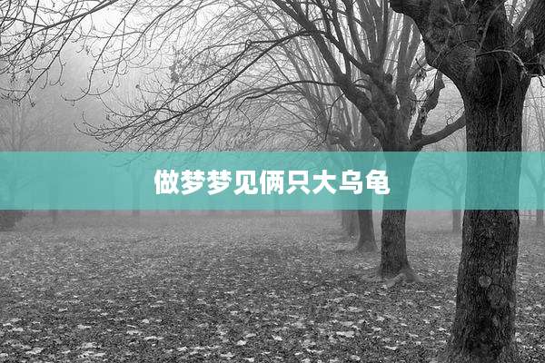做梦梦见俩只大乌龟