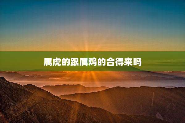 属虎的跟属鸡的合得来吗