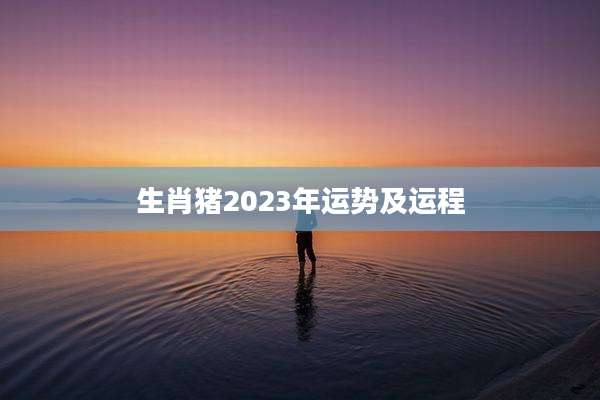 生肖猪2023年运势及运程