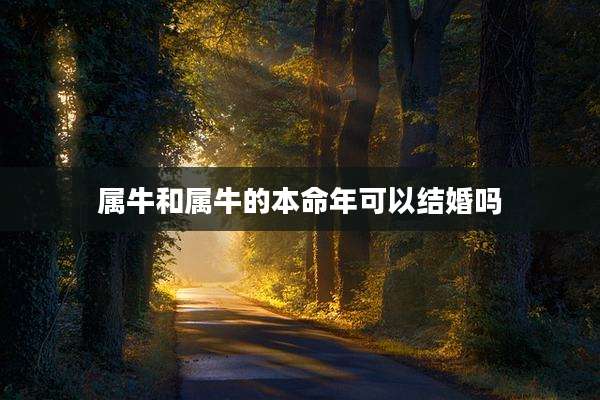 属牛和属牛的本命年可以结婚吗
