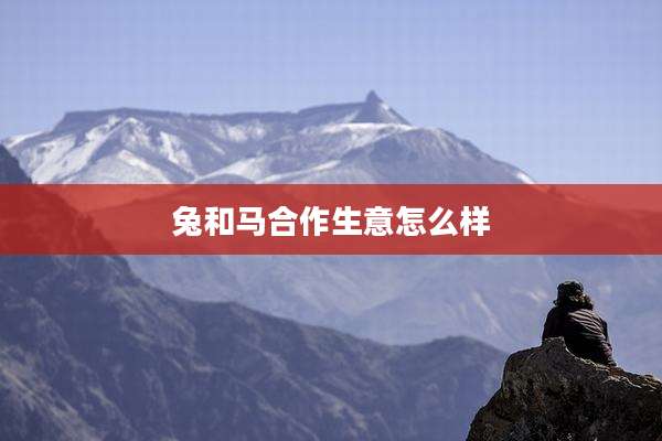 兔和马合作生意怎么样