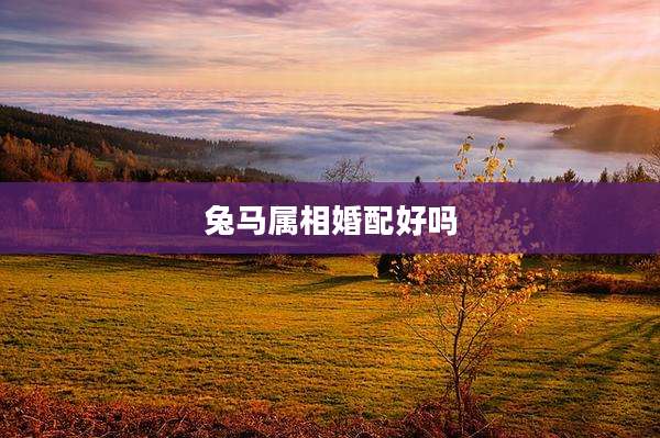 兔马属相婚配好吗
