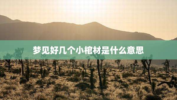 梦见好几个小棺材是什么意思