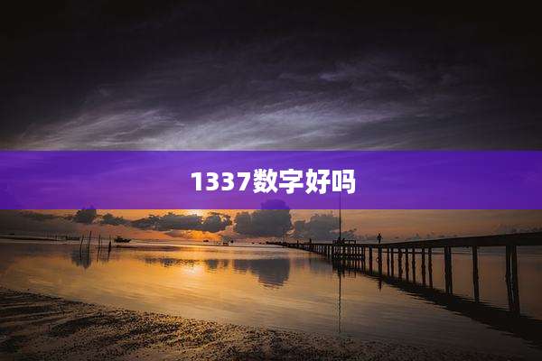 1337数字好吗