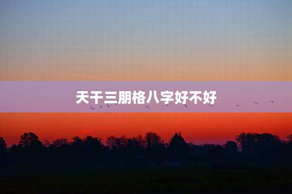 天干三朋格八字好不好