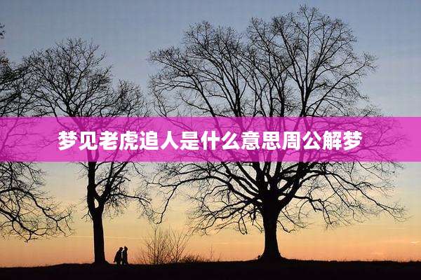 梦见老虎追人是什么意思周公解梦