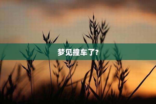 梦见撞车了?