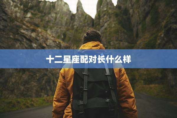 十二星座配对长什么样