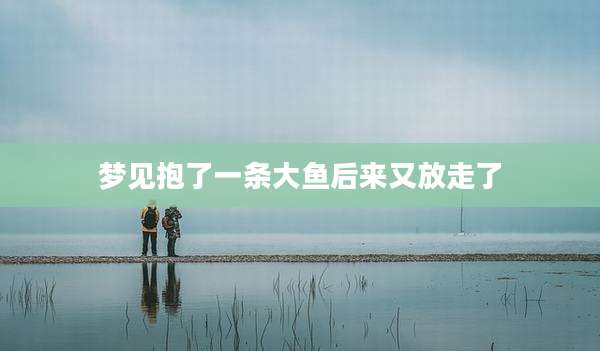 梦见抱了一条大鱼后来又放走了