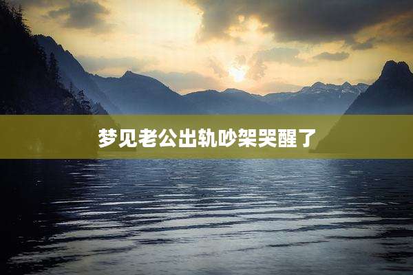 梦见老公出轨吵架哭醒了