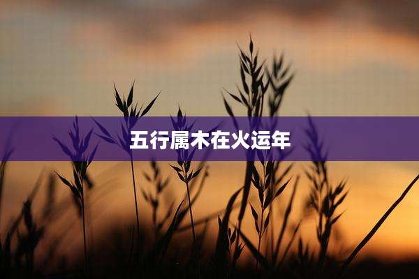 五行属木在火运年