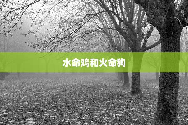 水命鸡和火命狗
