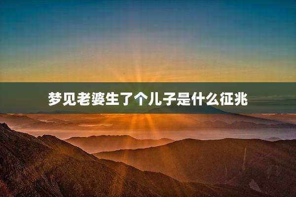 梦见老婆生了个儿子是什么征兆