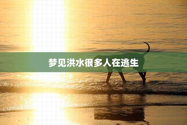 梦见洪水很多人在逃生