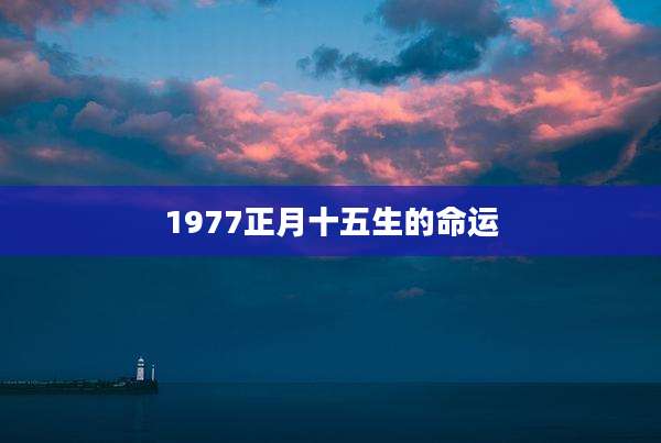 1977正月十五生的命运