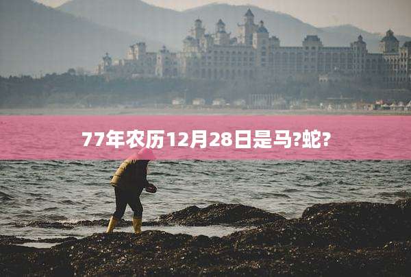 77年农历12月28日是马?蛇?