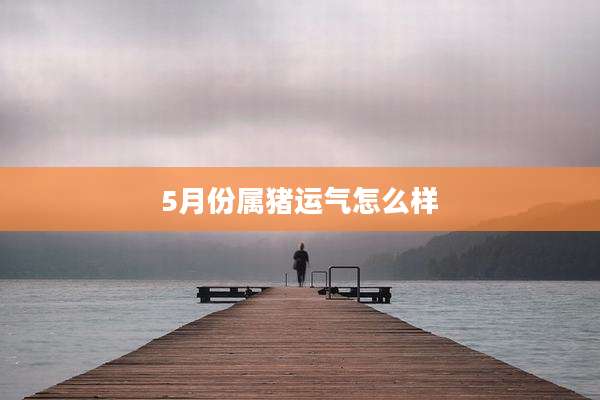5月份属猪运气怎么样