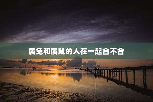 属兔和属鼠的人在一起合不合