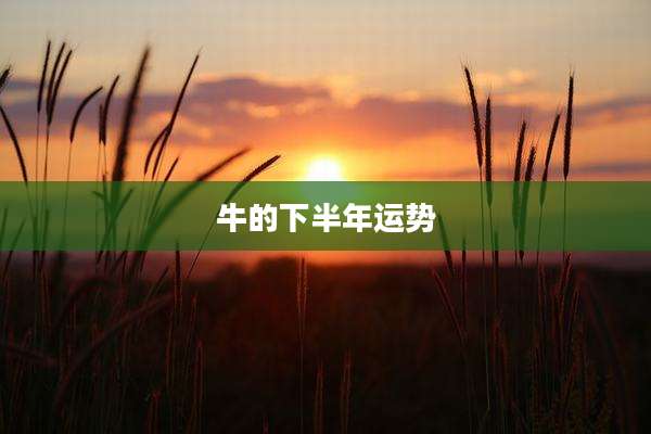 牛的下半年运势
