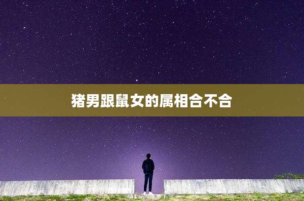 猪男跟鼠女的属相合不合