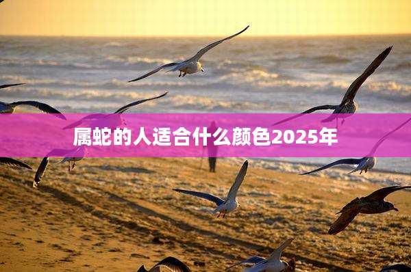 属蛇的人适合什么颜色2025年