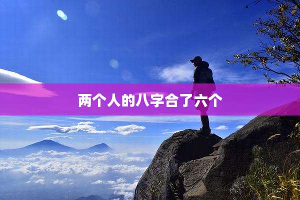 两个人的八字合了六个