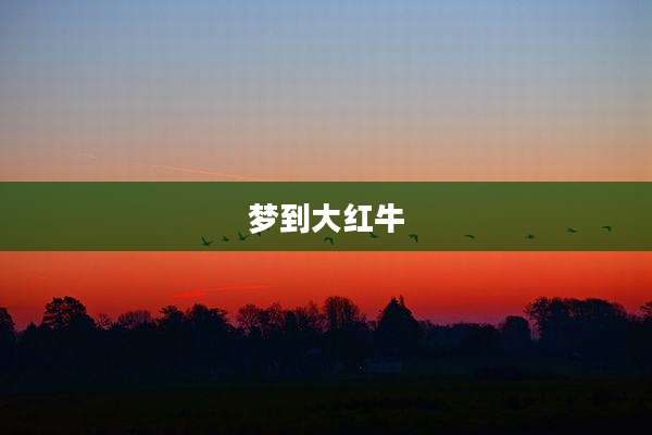 梦到大红牛