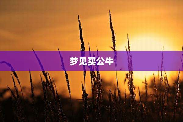 梦见买公牛