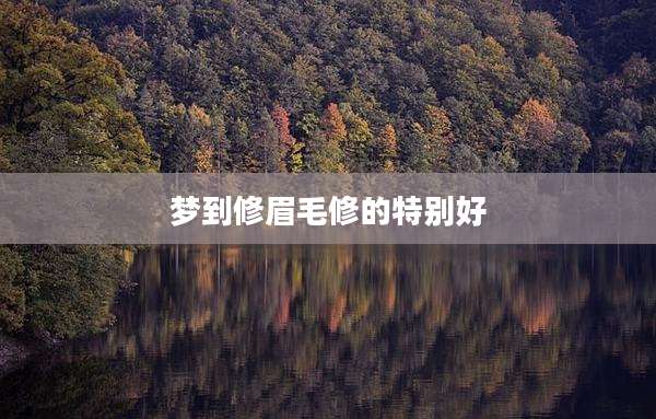 梦到修眉毛修的特别好