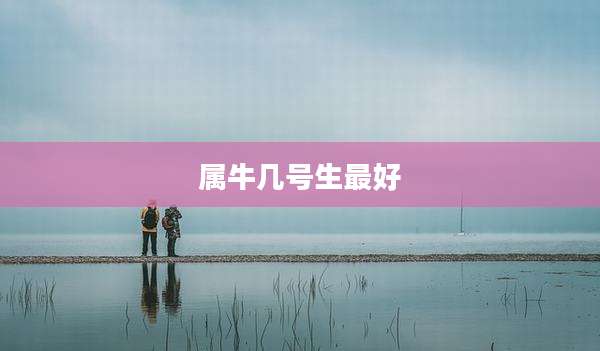 属牛几号生最好