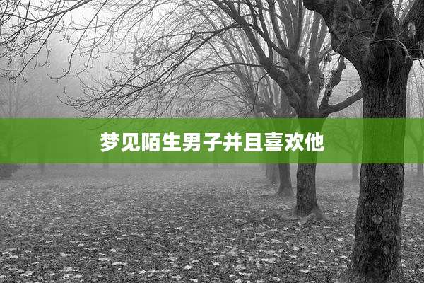 梦见陌生男子并且喜欢他
