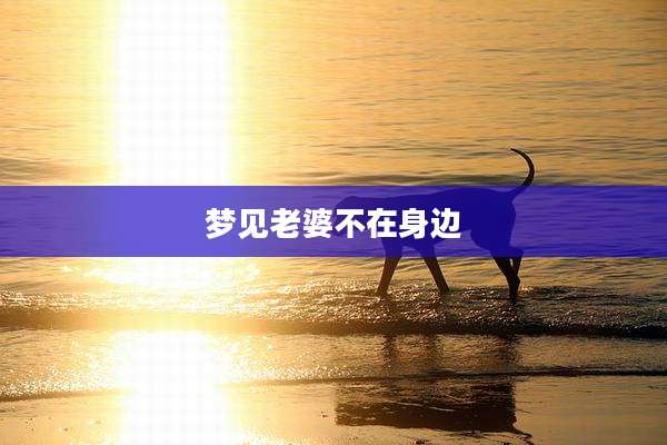 梦见老婆不在身边
