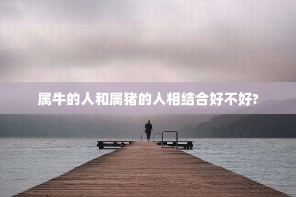 属牛的人和属猪的人相结合好不好?