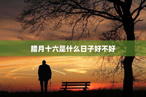 腊月十六是什么日子好不好