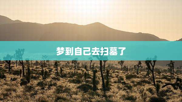 梦到自己去扫墓了