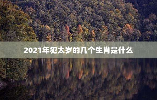 2021年犯太岁的几个生肖是什么