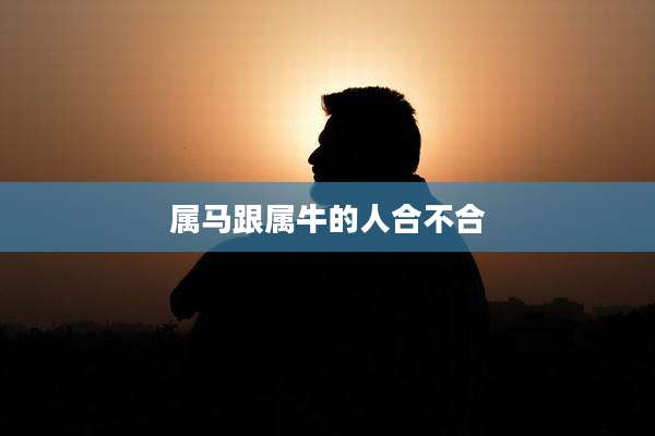 属马跟属牛的人合不合