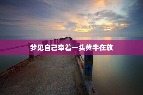 梦见自己牵着一头黄牛在放