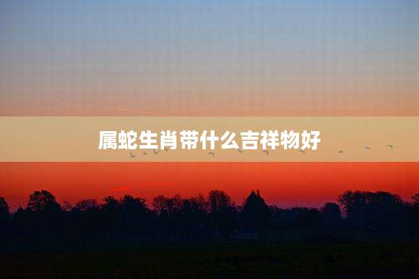 属蛇生肖带什么吉祥物好