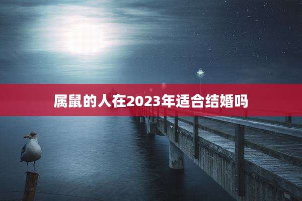属鼠的人在2023年适合结婚吗