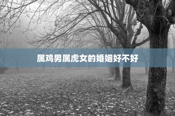 属鸡男属虎女的婚姻好不好
