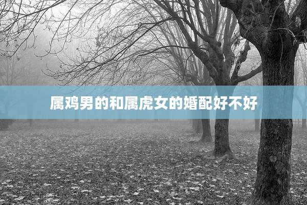 属鸡男的和属虎女的婚配好不好