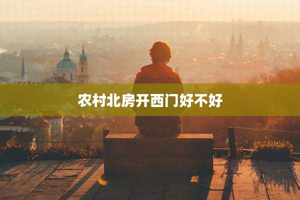 农村北房开西门好不好