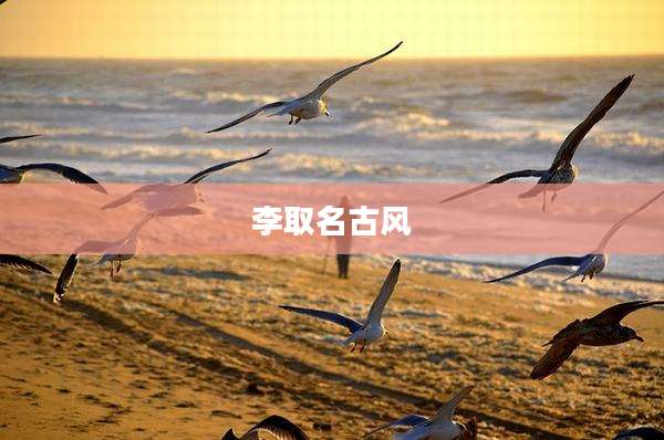 李取名古风