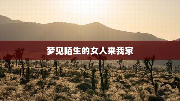 梦见陌生的女人来我家