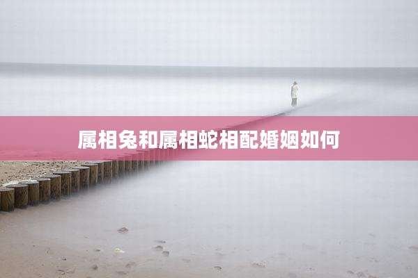 属相兔和属相蛇相配婚姻如何