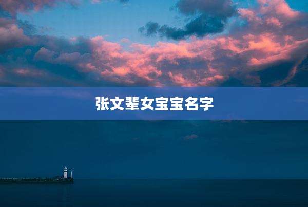 张文辈女宝宝名字